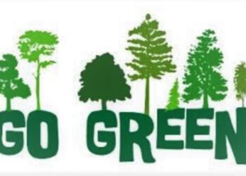 महावितरणच्या ‘गो-ग्रीन’ योजनेचा ५ लाखांचा टप्पा पूर्ण
