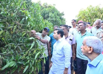 आंबा उत्पादक शेतकऱ्यांना मदत मिळवून देणार : नितेश राणे