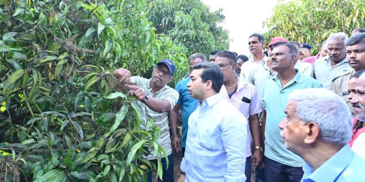 आंबा उत्पादक शेतकऱ्यांना मदत मिळवून देणार : नितेश राणे